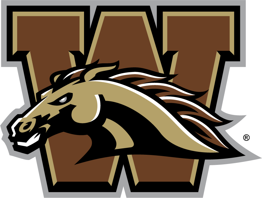 Western Michigan Broncos 2016-2021 Primary Logo iron on transfers for T-shirts